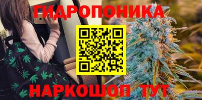 марихуана Новозыбков