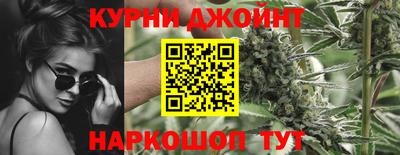 тгк Новокубанск